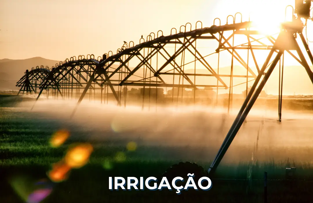 Irrigação