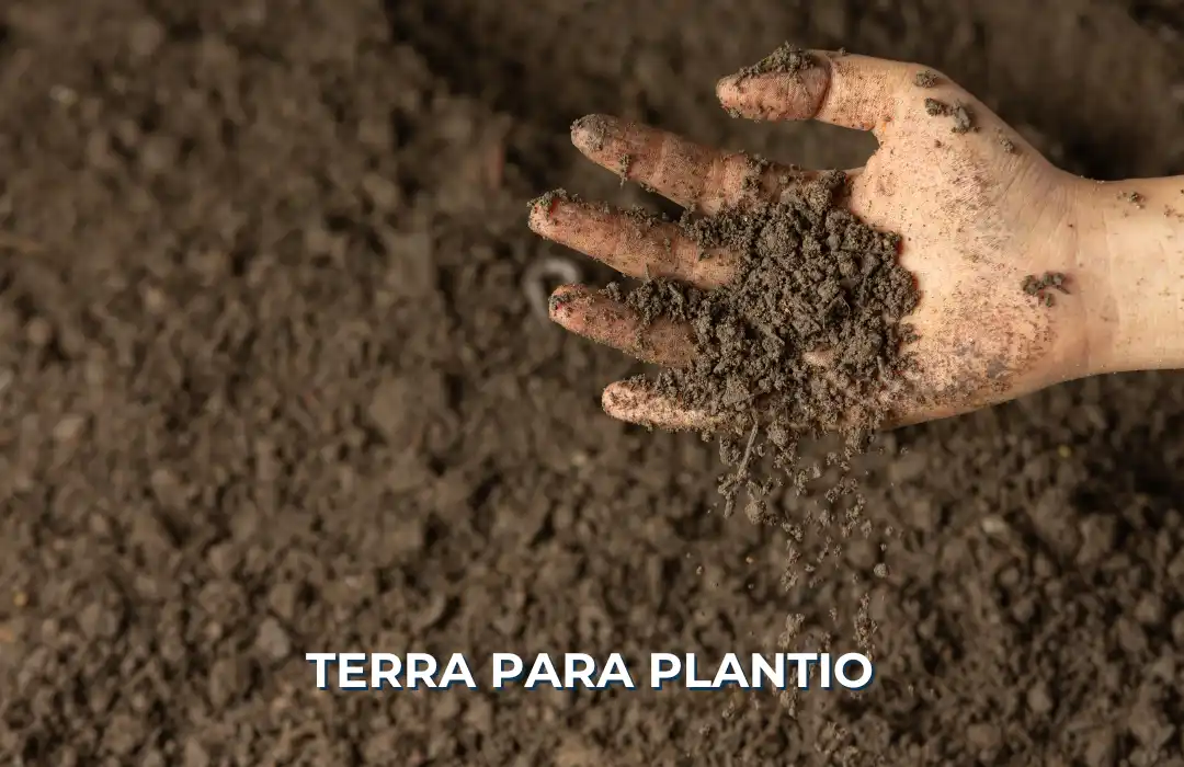 Terra para Plantio